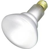 Satco BR30 Incandescent Floodlight Light Bulb - S2817